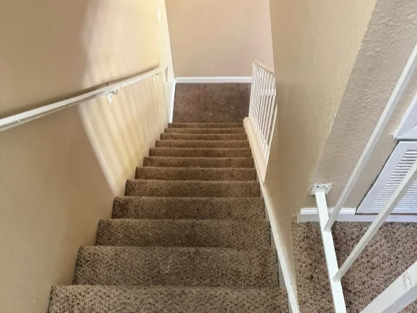Affordable carpet cleaning service
