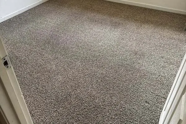Carpet Stain Removal