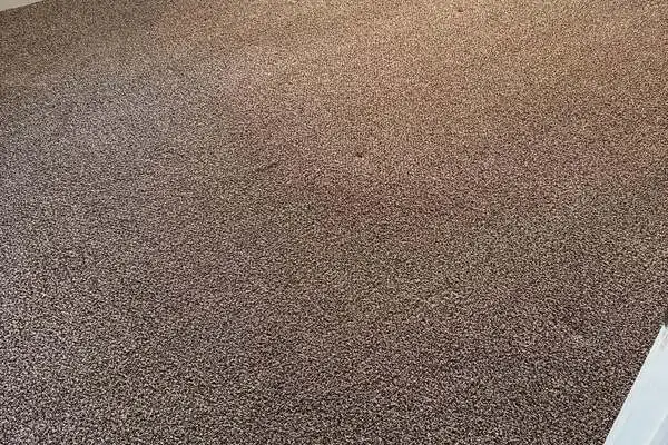 Reliable carpet cleaning service Reliable carpet cleaning service