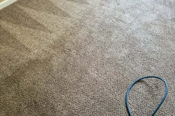 Reliable Commercial Carpet Cleaner in Bakersfield, CA