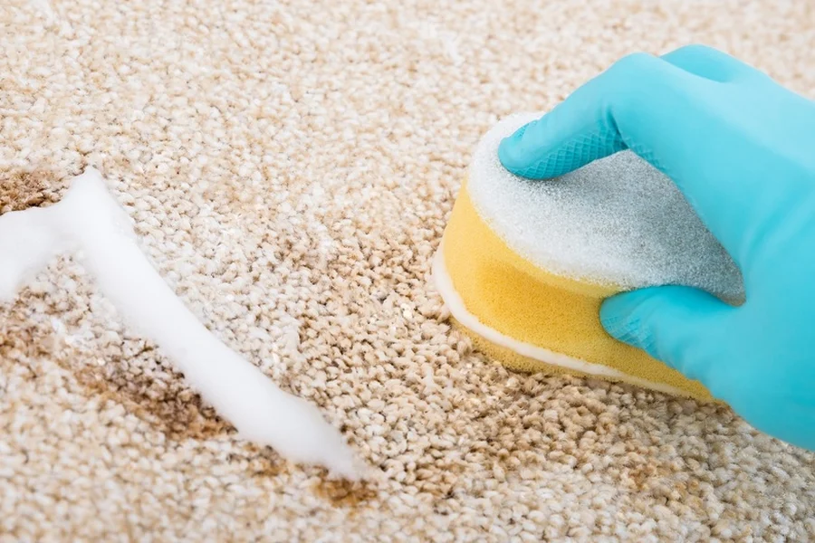 How Carpet Stain Removal Protects Fiber Longevity in Bakersfield, CA