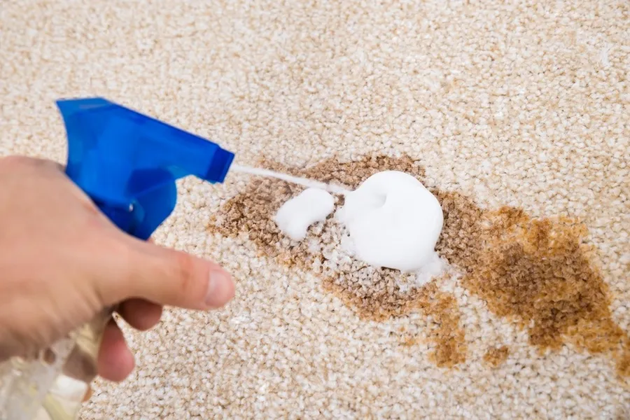How Carpet Stain Removal Supports Allergy Control in Bakersfield, CA